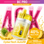 EBCREATE BC PRO Toasted Pineapple 40K