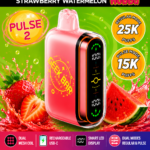Geek Bar Pulse 2 Strawberry Watermelon Hubba