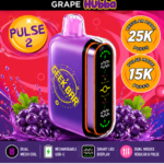 Geek Bar Pulse X Grape Hubba