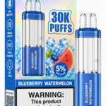 FOGER Switch Pro Blueberry Watermelon 30K Puffs Disposable Pod