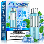 Gum Mint Foger Switch Pro 30K Disposable Pod