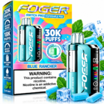 Foger Switch Pro 30K Disposable Pod – Blue Rancher